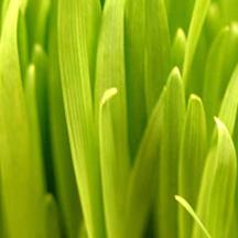 网站攻击软件工具